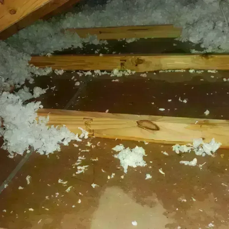 Attic Water Damage in Lincoln County, KY