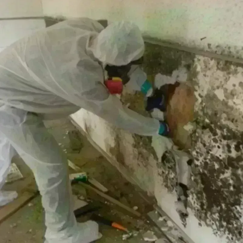 Mold Remediation and Removal in Lincoln County, KY